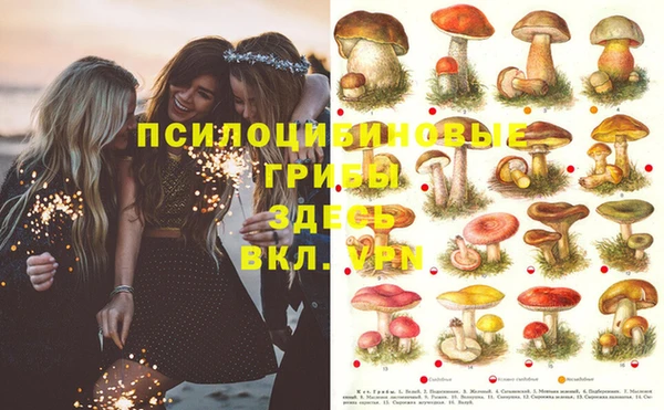 дмт Алексеевка