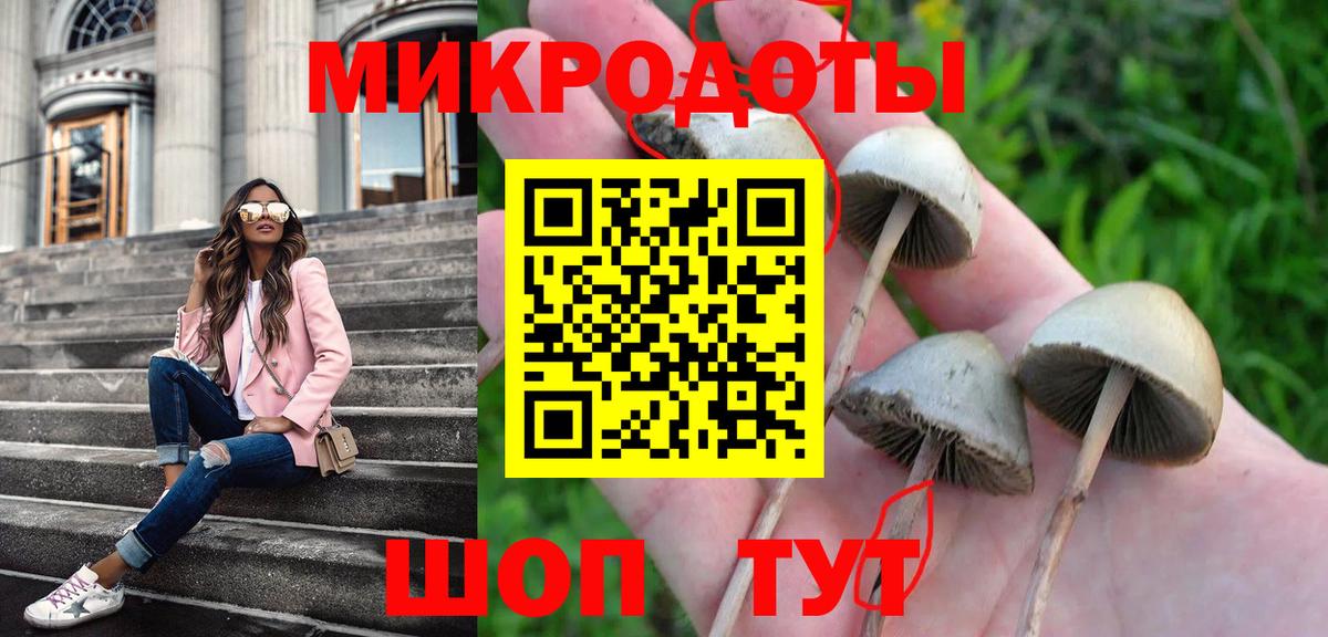 Сургут  Галлюциногенные грибы GOLDEN TEACHER  Вход с VPN 